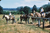 SmugMug > all-time keyword > baraboo > Jean and kids on horses, Baraboo, 1955